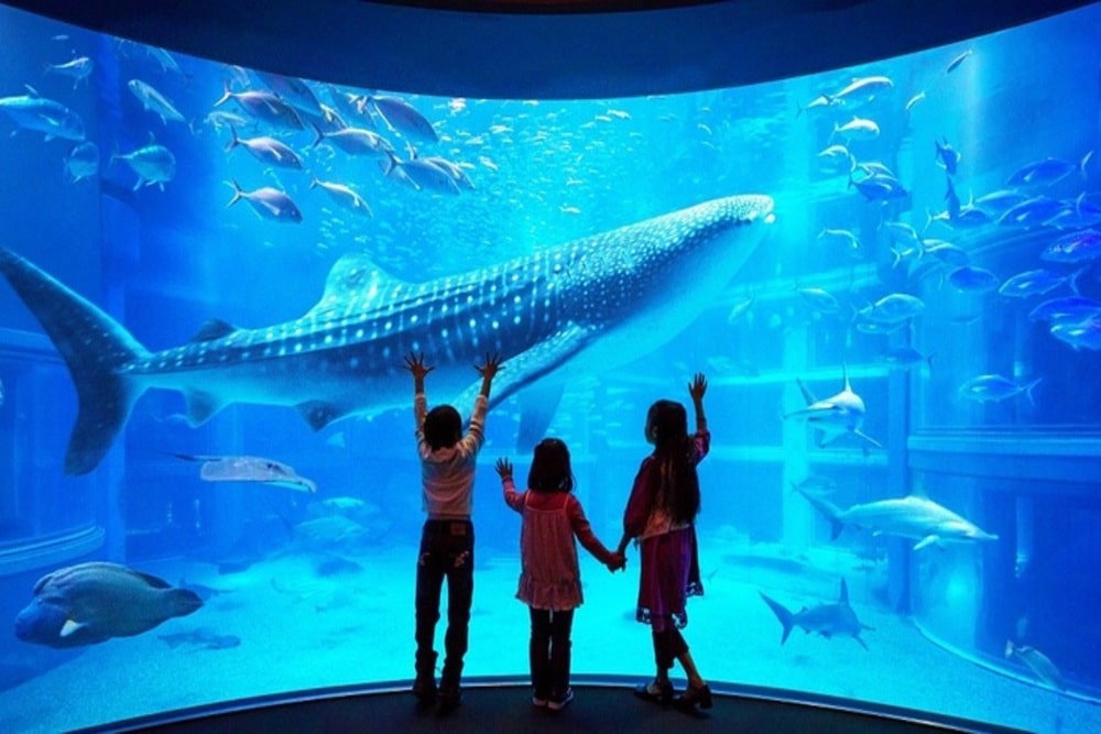 Kaiyukan Aquarium